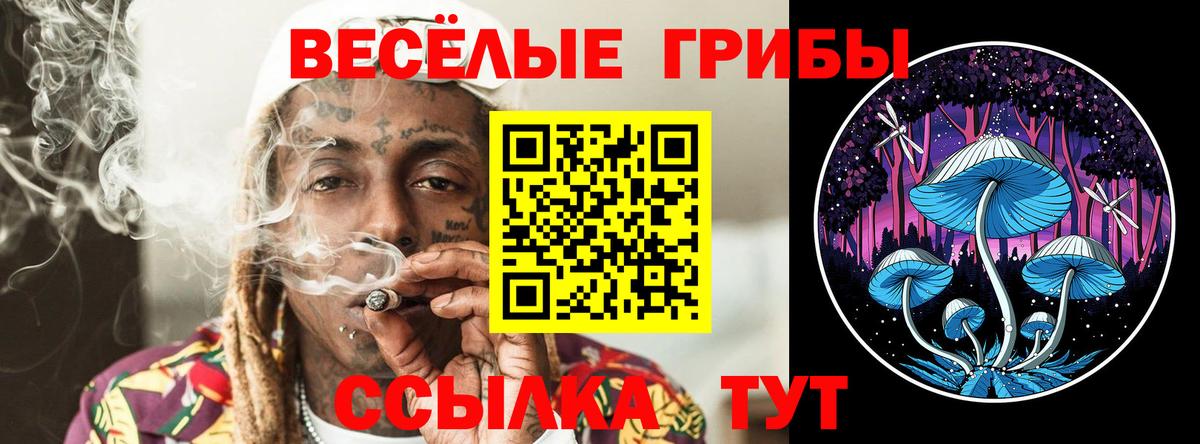 Псилоцибиновые грибы Psilocybe Кировск